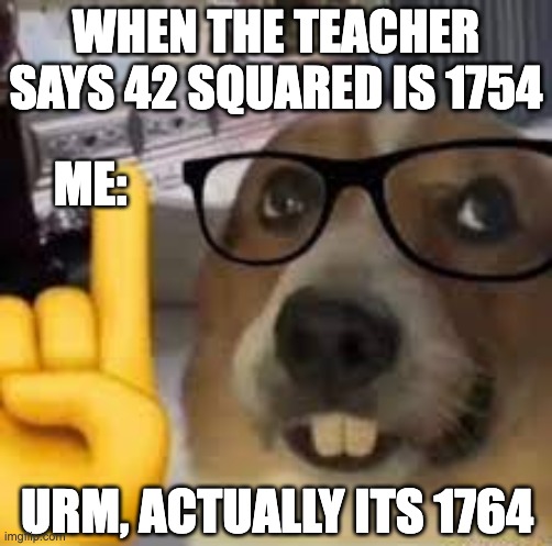 nerd dog | WHEN THE TEACHER SAYS 42 SQUARED IS 1754; ME:; URM, ACTUALLY ITS 1764 | image tagged in nerd dog | made w/ Imgflip meme maker
