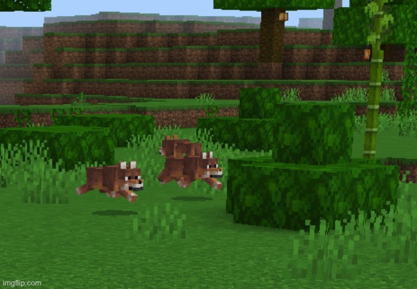 I found a pack of Rusty Wolves! | image tagged in minecraft,wolves | made w/ Imgflip meme maker