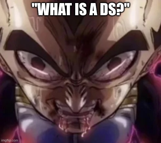 vegeta drooling | "WHAT IS A DS?" | image tagged in vegeta drooling | made w/ Imgflip meme maker