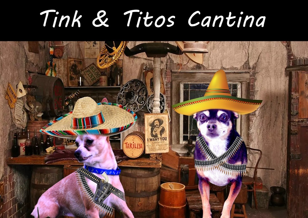 Two of my grand dogs: Tinker and Tito | image tagged in tinker and tito,kewlew | made w/ Imgflip meme maker