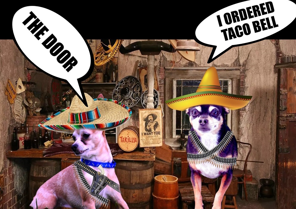 doggie talk | I ORDERED TACO BELL; THE DOOR | image tagged in kewlew | made w/ Imgflip meme maker