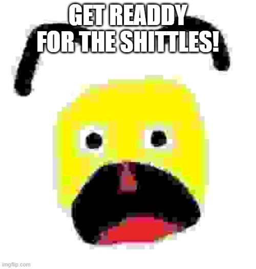 GET READDY FOR THE SHITTLES! | image tagged in extremely shocked man human | made w/ Imgflip meme maker