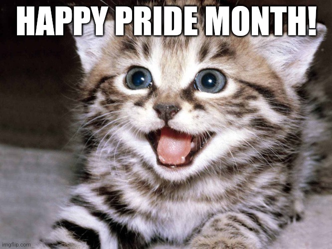 Happy Kitten | HAPPY PRIDE MONTH! | image tagged in happy kitten | made w/ Imgflip meme maker