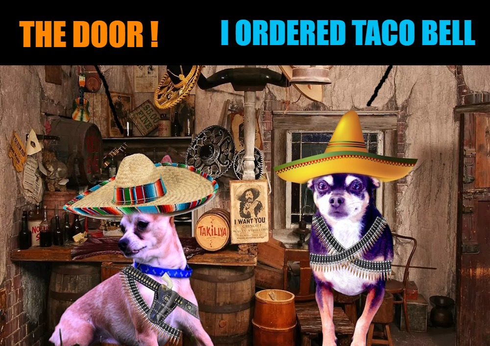 Two of my grand dogs: Tinker and Tito. | I ORDERED TACO BELL; THE DOOR ! | image tagged in grand dogs,kewlew | made w/ Imgflip meme maker