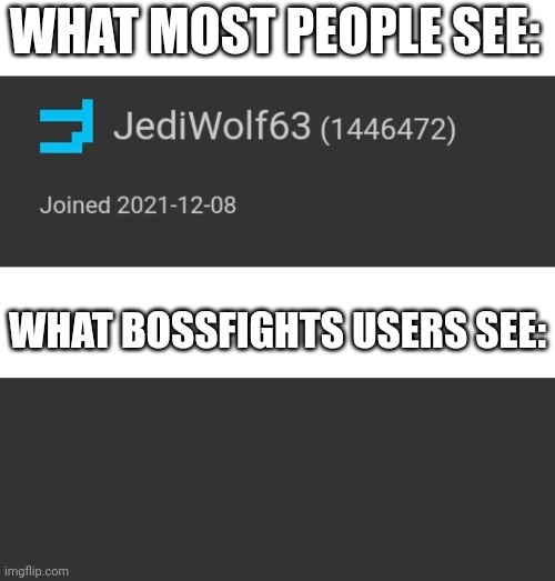 Hey chat, I'm back for like 15 more minutes | WHAT MOST PEOPLE SEE:; WHAT BOSSFIGHTS USERS SEE: | image tagged in blank bar,blank dark mode square | made w/ Imgflip meme maker