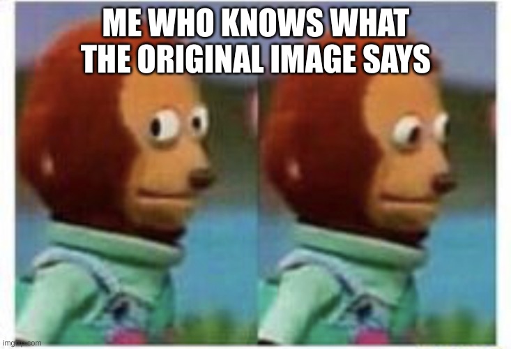 ME WHO KNOWS WHAT THE ORIGINAL IMAGE SAYS | image tagged in side eye teddy | made w/ Imgflip meme maker