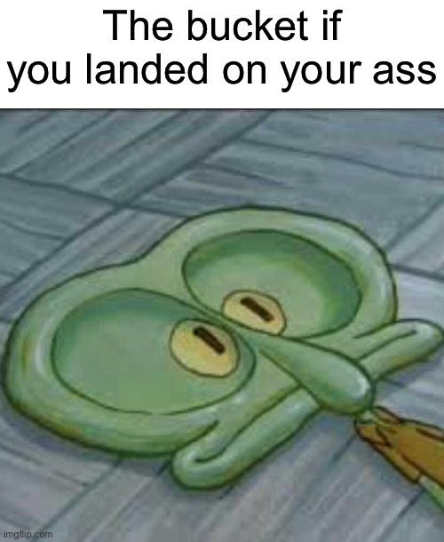 The bucket if you landed on your ass | made w/ Imgflip meme maker