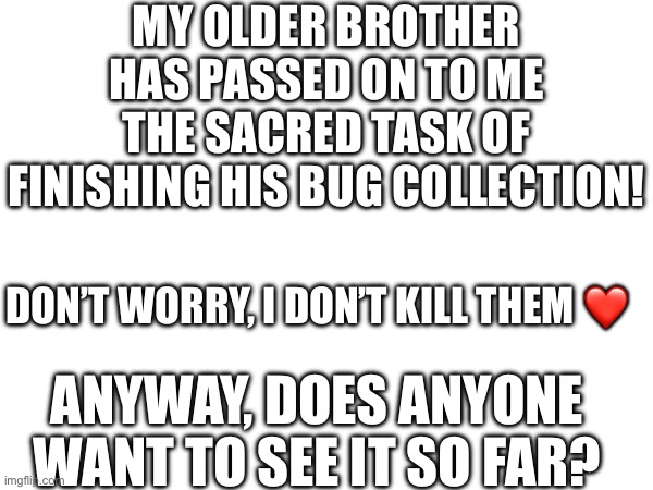 MY OLDER BROTHER HAS PASSED ON TO ME THE SACRED TASK OF FINISHING HIS BUG COLLECTION! DON’T WORRY, I DON’T KILL THEM ❤️; ANYWAY, DOES ANYONE WANT TO SEE IT SO FAR? | made w/ Imgflip meme maker