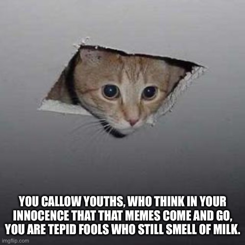 As requested | YOU CALLOW YOUTHS, WHO THINK IN YOUR INNOCENCE THAT THAT MEMES COME AND GO, YOU ARE TEPID FOOLS WHO STILL SMELL OF MILK. | image tagged in memes,ceiling cat | made w/ Imgflip meme maker