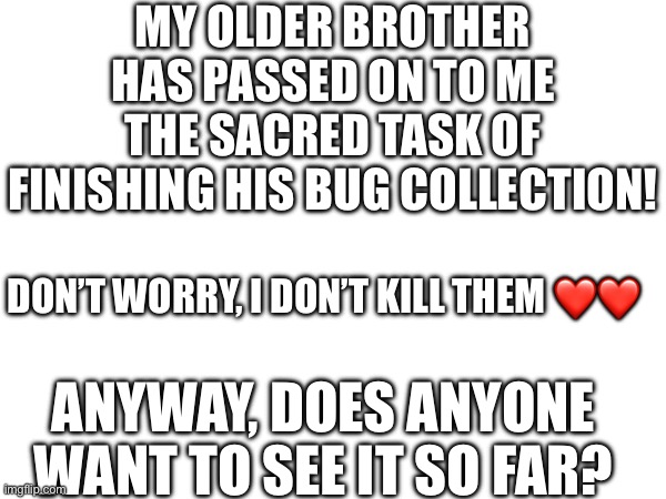This isn’t LGBTQ related but… | MY OLDER BROTHER HAS PASSED ON TO ME THE SACRED TASK OF FINISHING HIS BUG COLLECTION! DON’T WORRY, I DON’T KILL THEM ❤️❤️; ANYWAY, DOES ANYONE WANT TO SEE IT SO FAR? | made w/ Imgflip meme maker