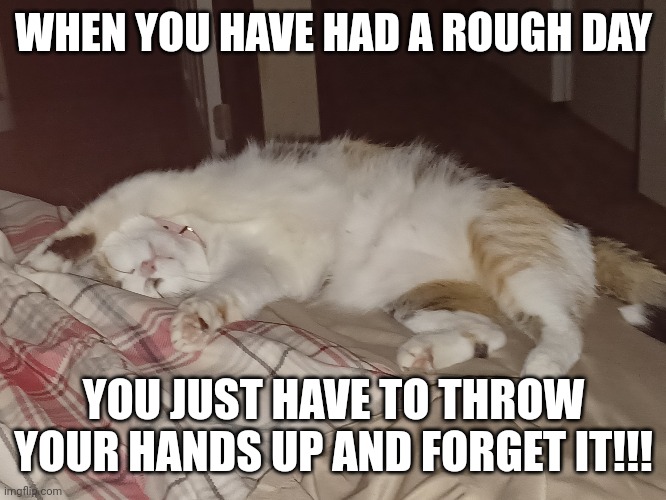 Rough day | WHEN YOU HAVE HAD A ROUGH DAY; YOU JUST HAVE TO THROW YOUR HANDS UP AND FORGET IT!!! | image tagged in sleeping | made w/ Imgflip meme maker