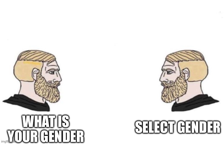 WHAT IS YOUR GENDER SELECT GENDER | image tagged in double yes chad | made w/ Imgflip meme maker