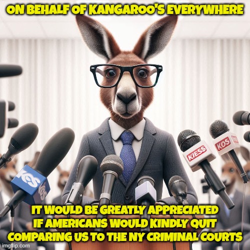 Kangaroo Court | ON BEHALF OF KANGAROO'S EVERYWHERE; IT WOULD BE GREATLY APPRECIATED IF AMERICANS WOULD KINDLY QUIT COMPARING US TO THE NY CRIMINAL COURTS | image tagged in kangaroo,courtroom,court,maga,make america great again,fjb | made w/ Imgflip meme maker