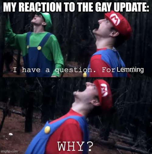 why tho | MY REACTION TO THE GAY UPDATE:; Lemming | image tagged in i have one question for god why | made w/ Imgflip meme maker