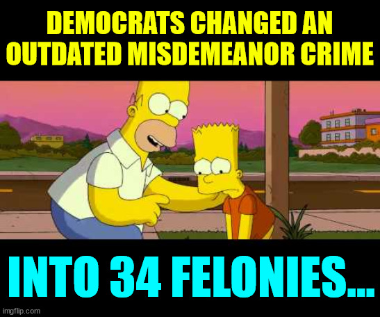 Homer So Far | DEMOCRATS CHANGED AN OUTDATED MISDEMEANOR CRIME INTO 34 FELONIES... | image tagged in homer so far | made w/ Imgflip meme maker