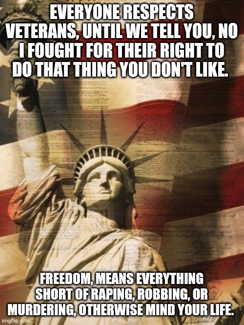 Veteran Nation | EVERYONE RESPECTS VETERANS, UNTIL WE TELL YOU, NO I FOUGHT FOR THEIR RIGHT TO DO THAT THING YOU DON'T LIKE. FREEDOM, MEANS EVERYTHING SHORT OF RAPING, ROBBING, OR MURDERING, OTHERWISE MIND YOUR LIFE. | image tagged in veteran nation | made w/ Imgflip meme maker