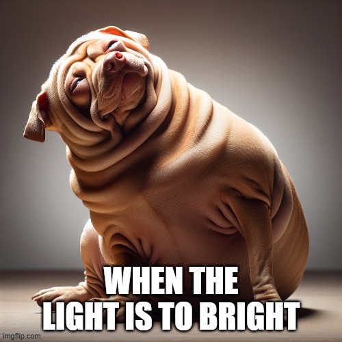 WHEN THE LIGHT IS TO BRIGHT | made w/ Imgflip meme maker