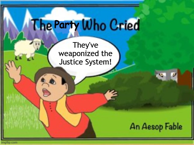 the boy who cried wolf | Party They've weaponized the Justice System! | image tagged in the boy who cried wolf | made w/ Imgflip meme maker