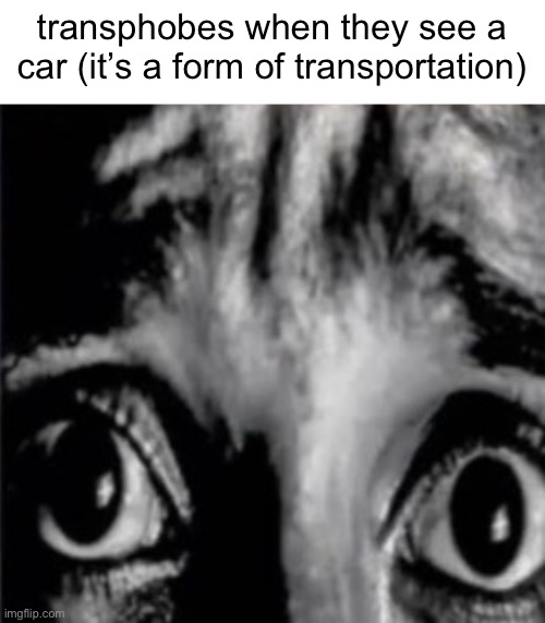 p | transphobes when they see a car (it’s a form of transportation) | made w/ Imgflip meme maker