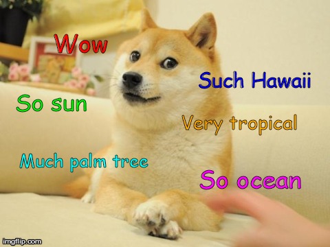 Doge 2 Meme | Wow Such Hawaii So sun Much palm tree Very tropical So ocean | image tagged in memes,doge 2 | made w/ Imgflip meme maker