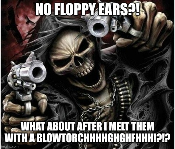 Badass Skeleton | NO FLOPPY EARS?! WHAT ABOUT AFTER I MELT THEM WITH A BLOWTORCHHHHGHGHFHHH!?!? | image tagged in badass skeleton | made w/ Imgflip meme maker