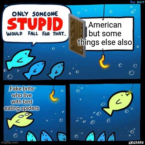 Only someone stupid would fall for that | American but some things else also; Fake brits who live with bird eating spiders | image tagged in only someone stupid would fall for that | made w/ Imgflip meme maker