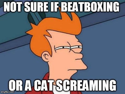 Futurama Fry | NOT SURE IF BEATBOXING  OR A CAT SCREAMING | image tagged in memes,futurama fry | made w/ Imgflip meme maker