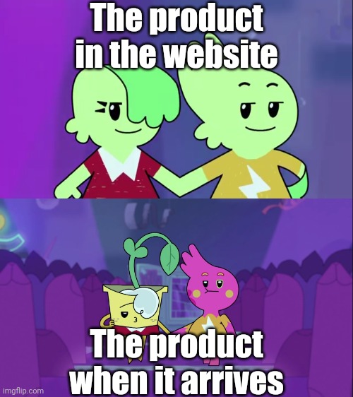 The product in the website | The product in the website; The product when it arrives | image tagged in websites,memes,funny | made w/ Imgflip meme maker