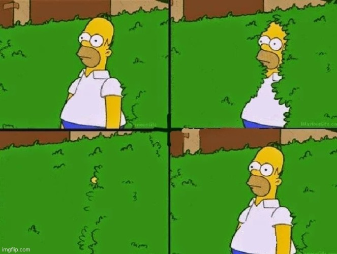 Homer Simpson in Busch coming back | image tagged in homer simpson in busch coming back | made w/ Imgflip meme maker
