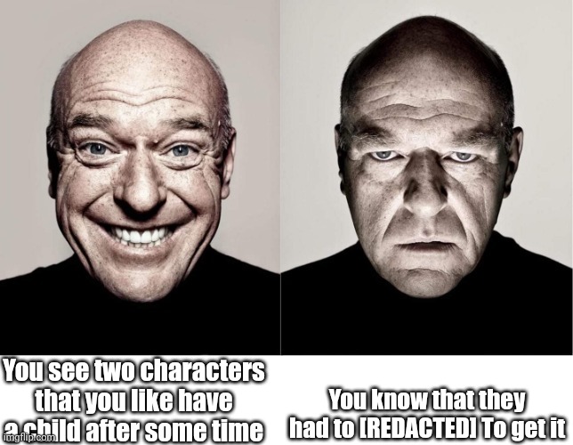 breaking bad smile frown | You see two characters that you like have a child after some time; You know that they had to [REDACTED] To get it | image tagged in breaking bad smile frown | made w/ Imgflip meme maker