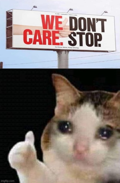 :( | image tagged in sad thumbs up cat,we don't care,stop | made w/ Imgflip meme maker