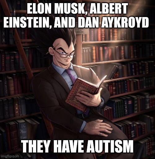 @Dawn | ELON MUSK, ALBERT EINSTEIN, AND DAN AYKROYD; THEY HAVE AUTISM | image tagged in vegeta reading a book meme | made w/ Imgflip meme maker