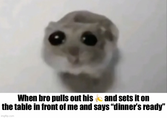 I’m temp back | When bro pulls out his 🍌 and sets it on the table in front of me and says “dinner’s ready” | image tagged in womo womp,white text box | made w/ Imgflip meme maker