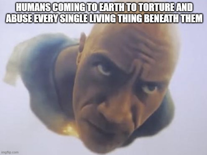 rock flying meme | HUMANS COMING TO EARTH TO TORTURE AND ABUSE EVERY SINGLE LIVING THING BENEATH THEM | image tagged in rock flying meme | made w/ Imgflip meme maker