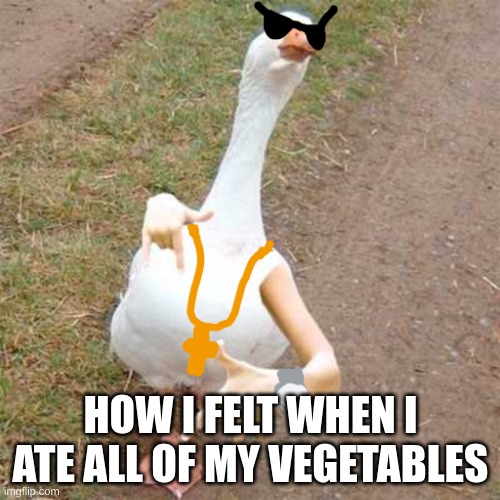 Drip Duck | HOW I FELT WHEN I ATE ALL OF MY VEGETABLES | image tagged in drip duck,meme,memes,drip,funny,childhood | made w/ Imgflip meme maker