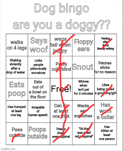 Dog Bingo | image tagged in dog bingo | made w/ Imgflip meme maker