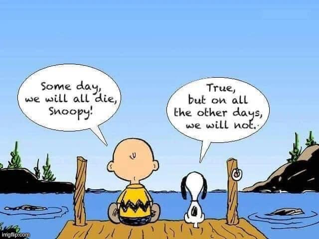 Wisdom of Snoopy | image tagged in snoopy,wisdom,live | made w/ Imgflip meme maker