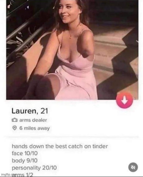 Dayuuum | image tagged in tinder,profile,honesty | made w/ Imgflip meme maker
