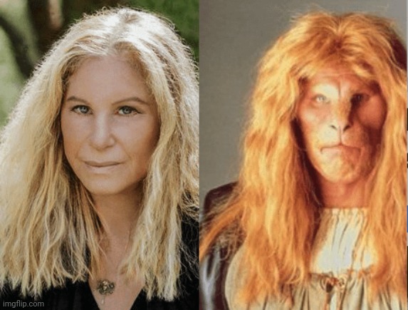 Beauty And The Babs | image tagged in beauty and the beast,barbra streisand,separated at birth,stop the plastic surgeries,plastic,beast | made w/ Imgflip meme maker