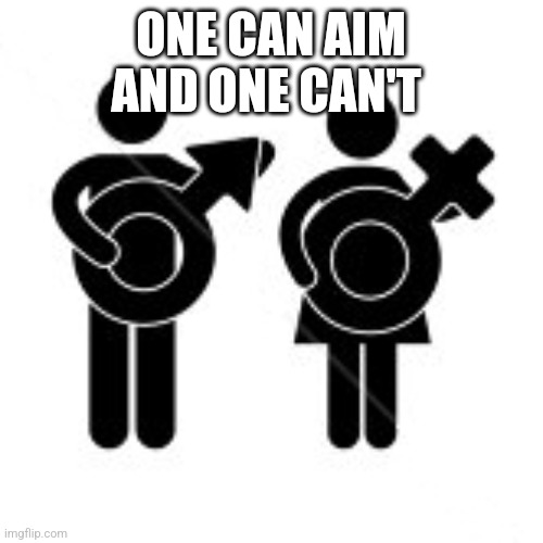 We ended the gender argument | ONE CAN AIM AND ONE CAN'T | image tagged in there is only two | made w/ Imgflip meme maker