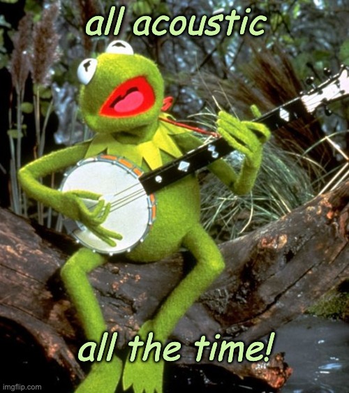 Kermit Banjo | all acoustic all the time! | image tagged in kermit banjo | made w/ Imgflip meme maker