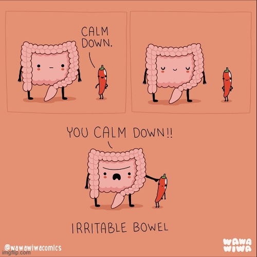 image tagged in pepper,bowel,calm down,irritated,irritable bowel | made w/ Imgflip meme maker