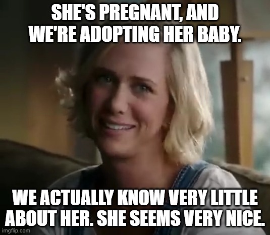 She's pregnant, and we're adopting her baby | SHE'S PREGNANT, AND WE'RE ADOPTING HER BABY. WE ACTUALLY KNOW VERY LITTLE ABOUT HER. SHE SEEMS VERY NICE. | image tagged in a deadly adoption,will ferrell,kristen wiig,true crime | made w/ Imgflip meme maker