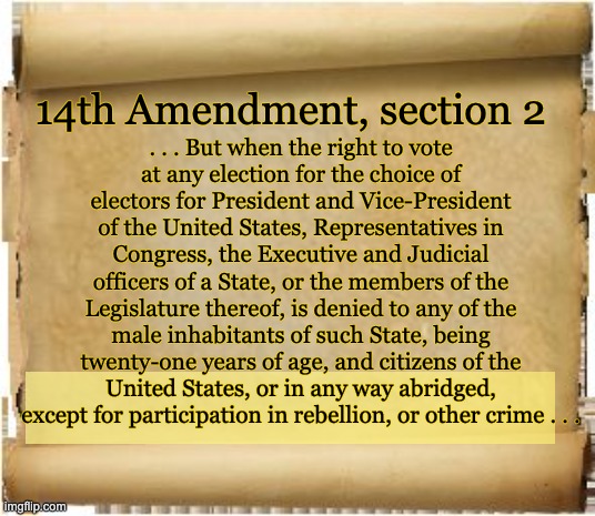 Parchment | . . . But when the right to vote
at any election for the choice of electors for President and Vice-President of the United States, Represent | image tagged in parchment | made w/ Imgflip meme maker