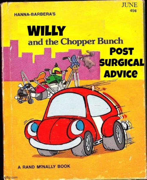 Willy Chopper Bunch | JUNE; Willy; Post
surgical
advice | image tagged in cartoon,wheelie,surgery,plastic surgery,2 genders,june | made w/ Imgflip meme maker