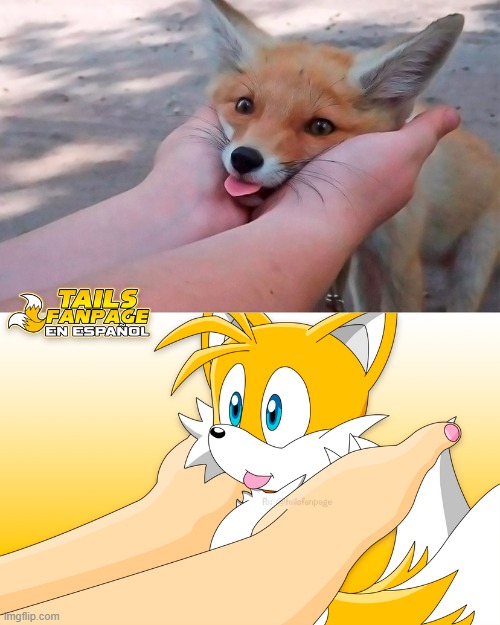 Tails vs Real Fomx (Art credit : TailsFanpageES) | made w/ Imgflip meme maker