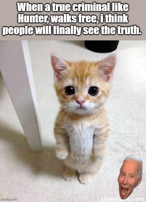 Cute Cat | When a true criminal like Hunter, walks free, i think people will finally see the truth. | image tagged in memes,cute cat | made w/ Imgflip meme maker