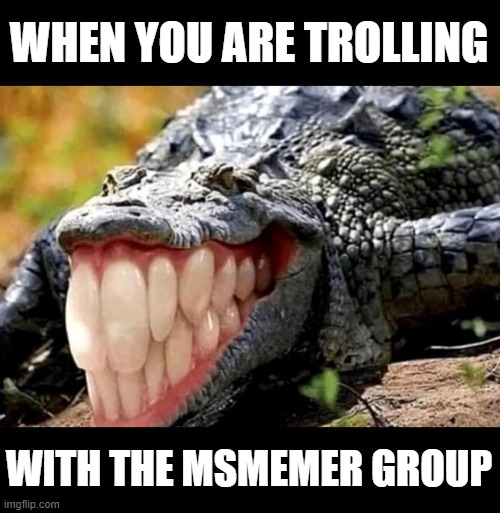 alligator with human teeth | WHEN YOU ARE TROLLING; WITH THE MSMEMER GROUP | image tagged in alligator with human teeth | made w/ Imgflip meme maker