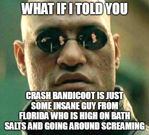 What if i told you | WHAT IF I TOLD YOU; CRASH BANDICOOT IS JUST SOME INSANE GUY FROM FLORIDA WHO IS HIGH ON BATH SALTS AND GOING AROUND SCREAMING | image tagged in what if i told you,meme,memes,funny,crash bandicoot,dank memes | made w/ Imgflip meme maker