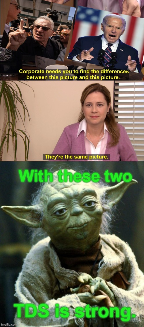 With These Two TDS Is Strong | With these two; TDS is strong. | image tagged in memes,they're the same picture,star wars yoda,politics,joe biden,robert de niro | made w/ Imgflip meme maker